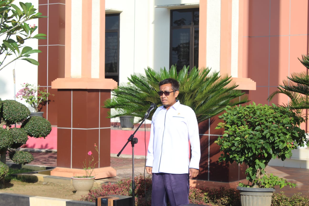 WhatsApp Image 2024 05 06 at 8.45.17 AM