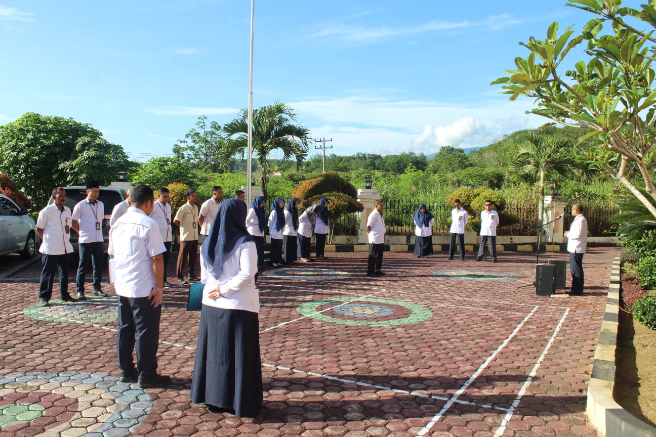 apelpagipapyb220420242